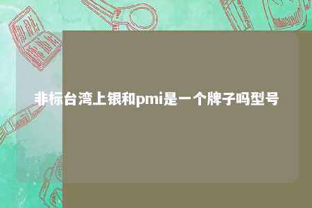 非标台湾上银和pmi是一个牌子吗型号 